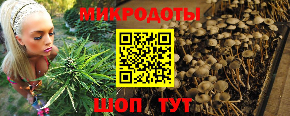 Галлюциногенные грибы мухоморы  Вход с VPN  Миллерово 